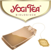 3 x Yogi Tee