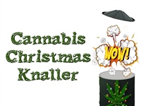 Canna Knaller  Klein