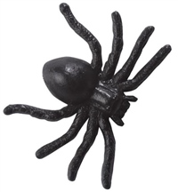 Drei kleine Spinnen